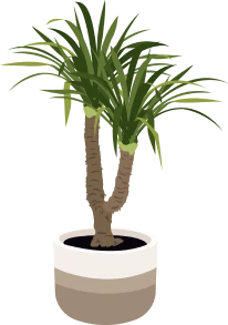 Dekoratives Bild einer Palme